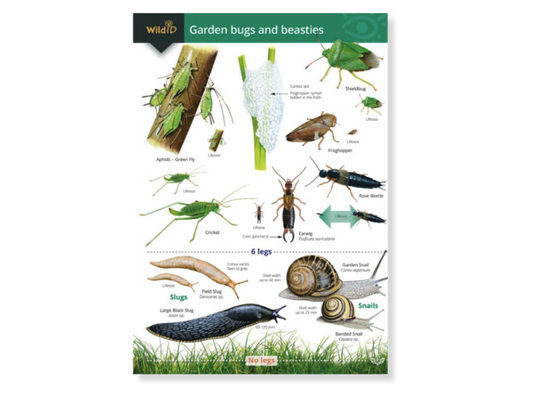 Wildlife Pack - Garden Safari