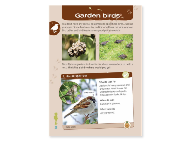 Nature Spotters in the Garden