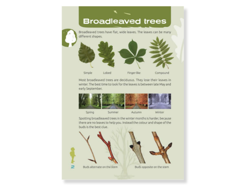 Nature spotters in the trees and woodlands