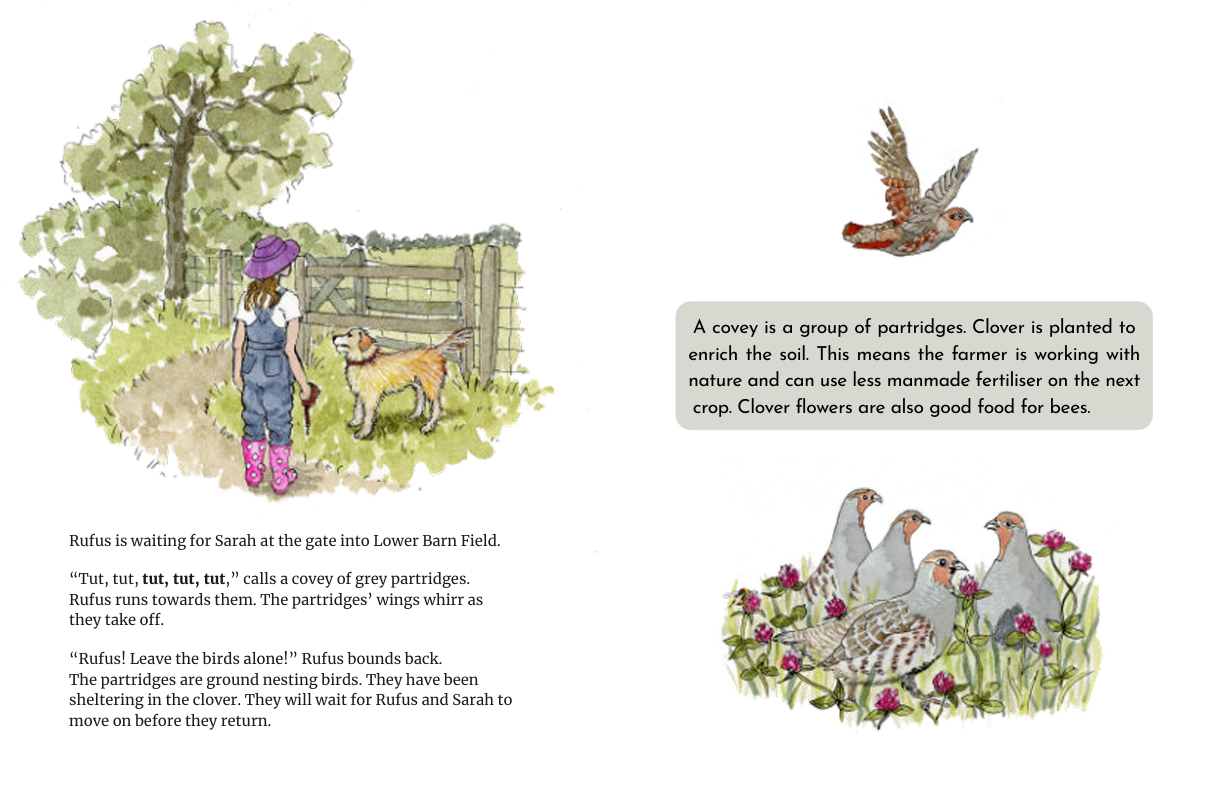 Rufus and Sarah's Farm Walk