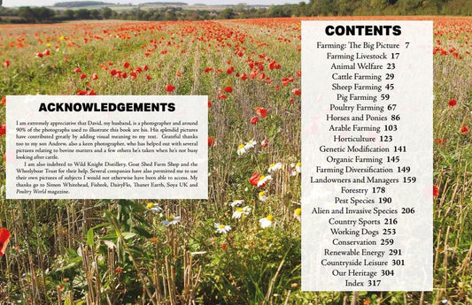 Everything you wanted to know about the Countryside by Jill Mason