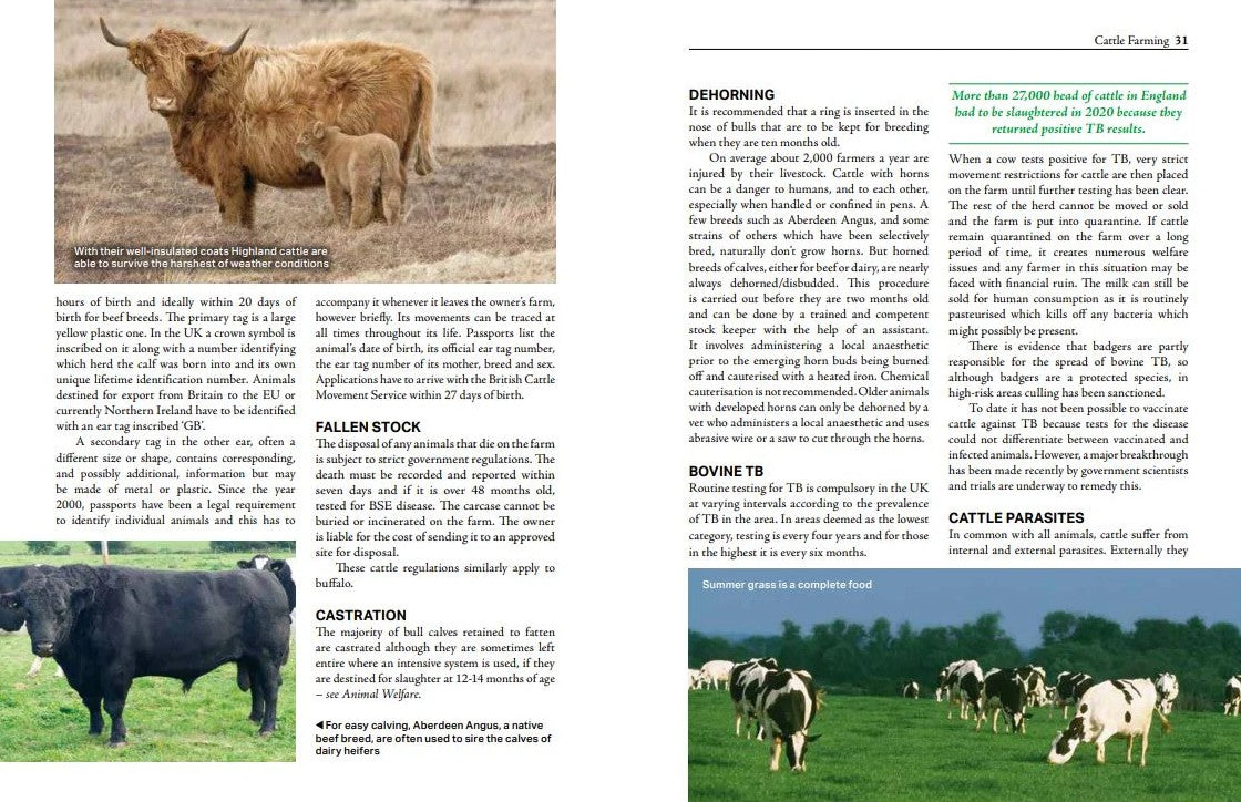 Everything you wanted to know about the Countryside by Jill Mason