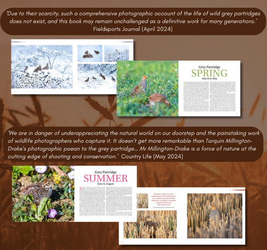 Living with Greys - Signed by author Tarquin Millington-Drake, Partridge book