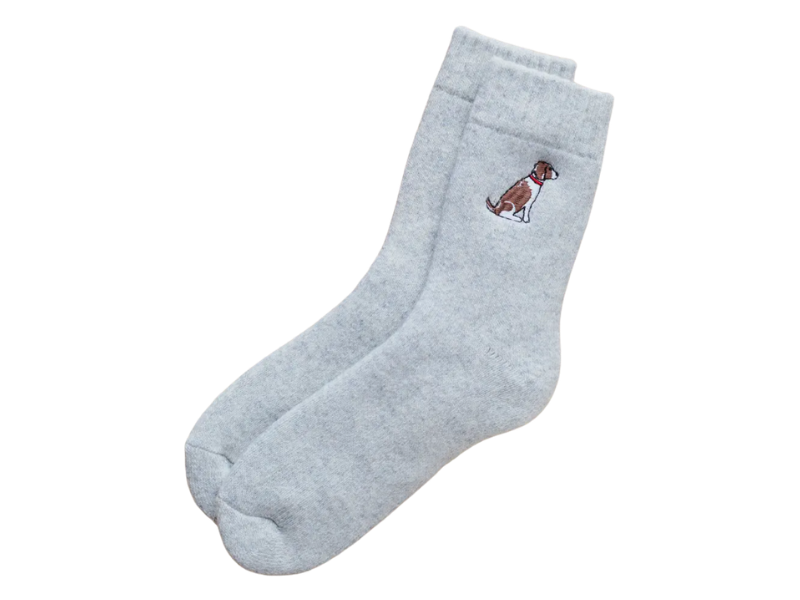 Dog Walking Socks - Springer Spaniel