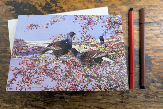 Black Cock in Hawthorn by Jason Lowes - Pack of 10 GWCT Christmas Cards