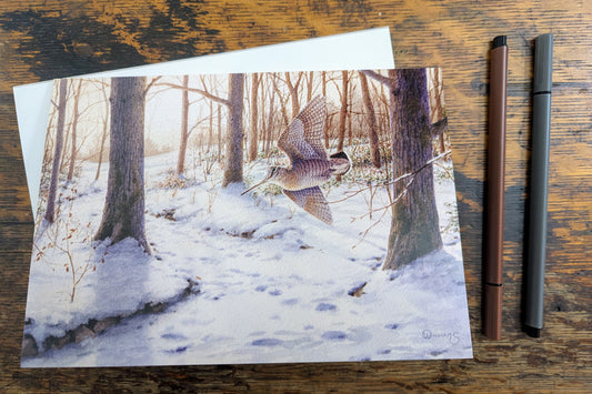 Winter Wonderland Woodcock by Owen Williams - Pack of 10 GWCT Christmas Cards