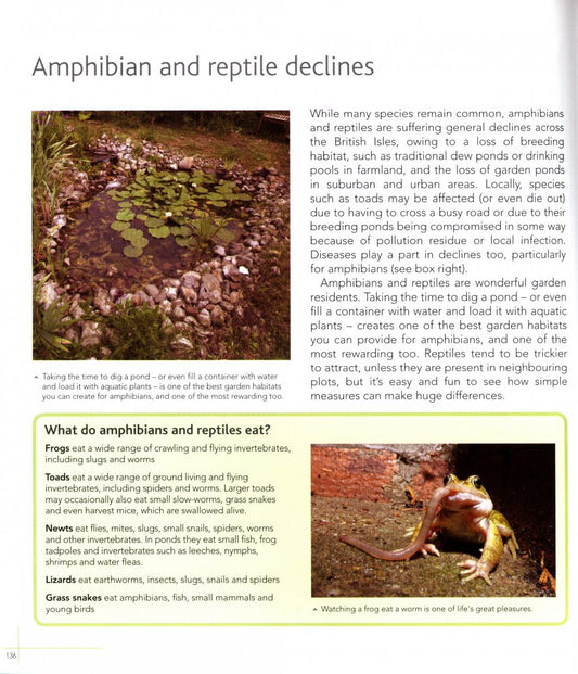 Wildlife Gardening: For Everyone and Everything