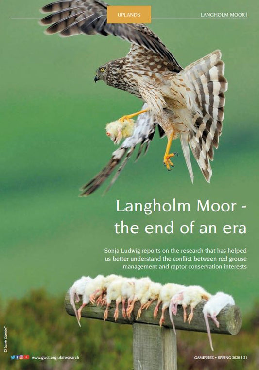 Gamewise Magazine - Spring 2020 - eBook