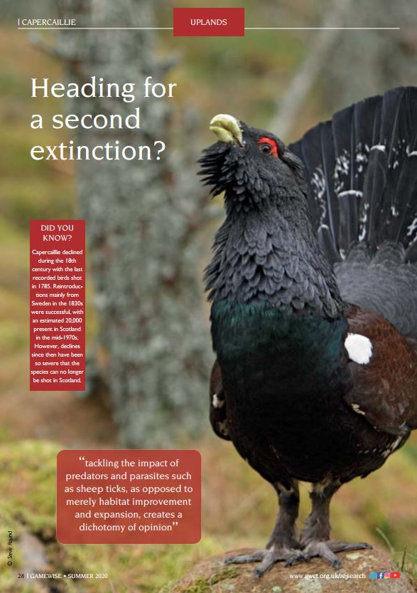 Gamewise Magazine - Summer 2020 - eBook