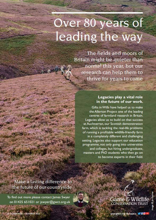 Gamewise Magazine - Summer 2020 - eBook