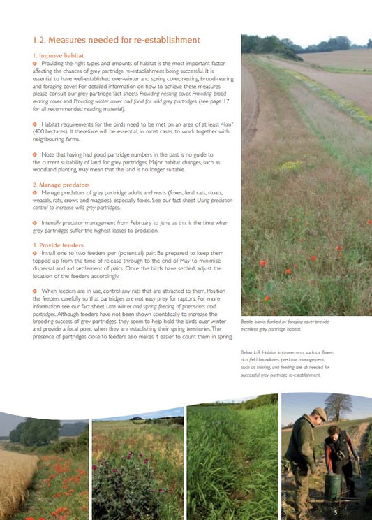 Guidelines for re-establishing grey partridges through releasing - ebook