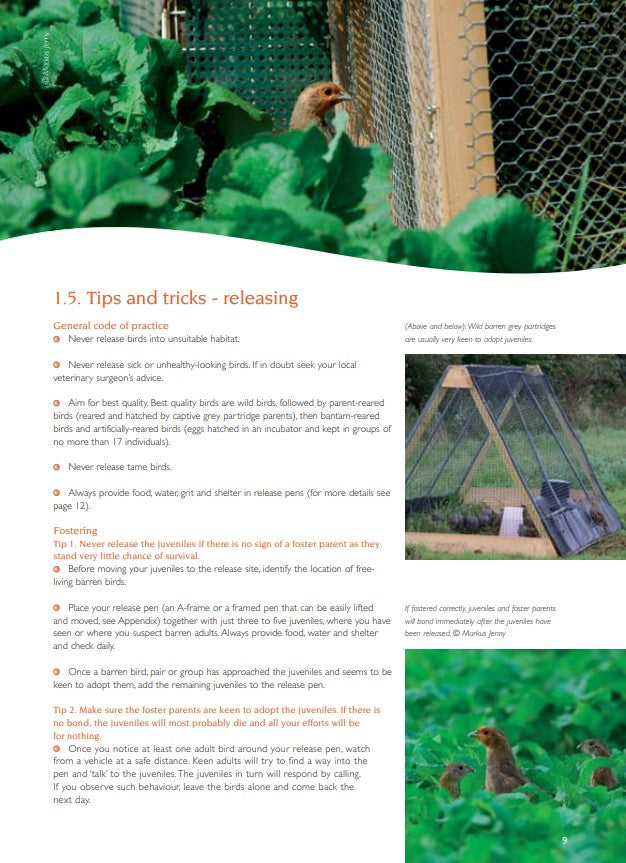 Guidelines for re-establishing grey partridges through releasing - ebook