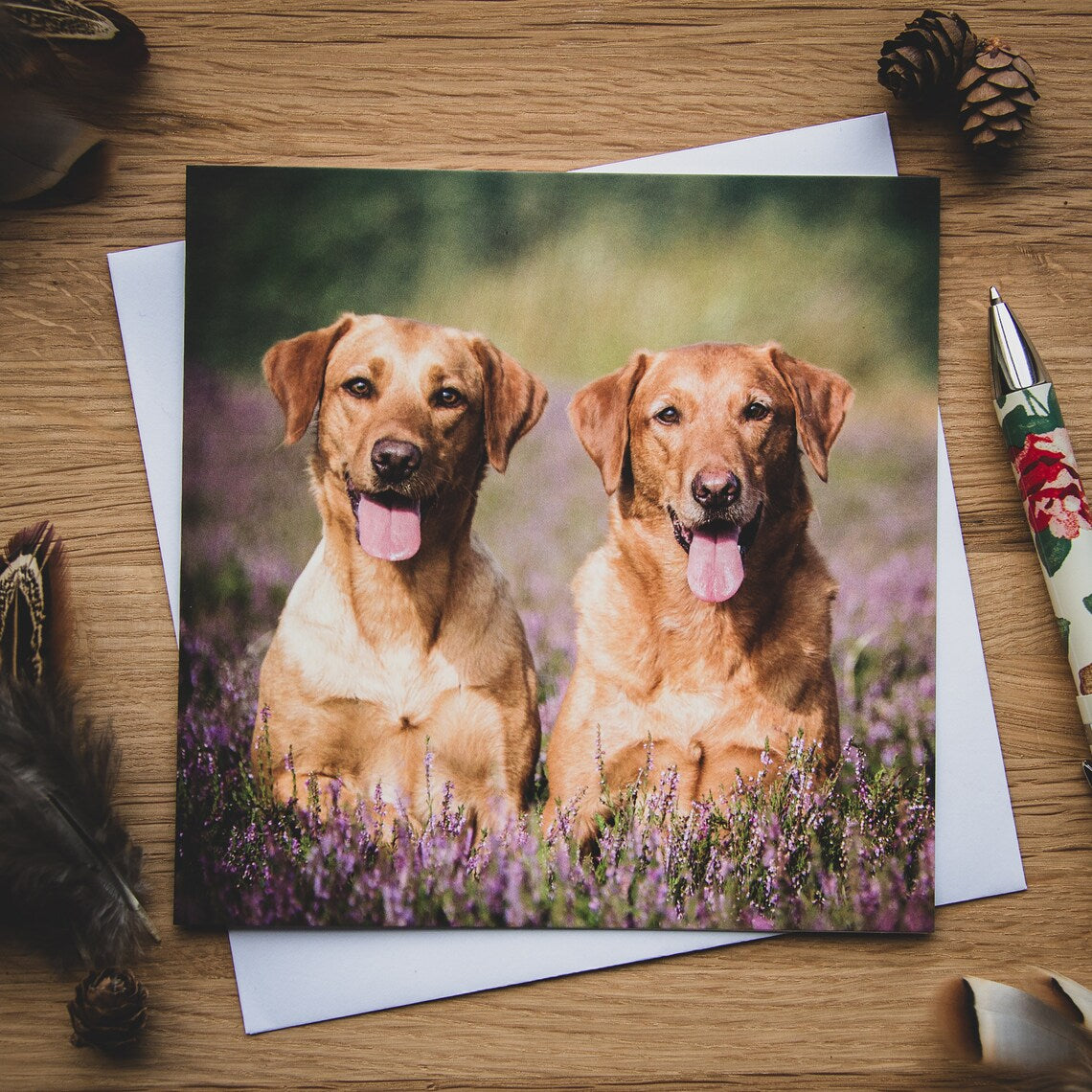 Gundogs Greetings Cards Set by Rachel Foster