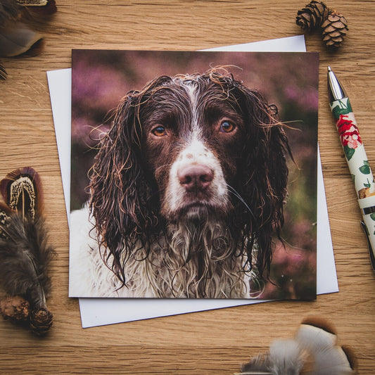 A dog on a gift card