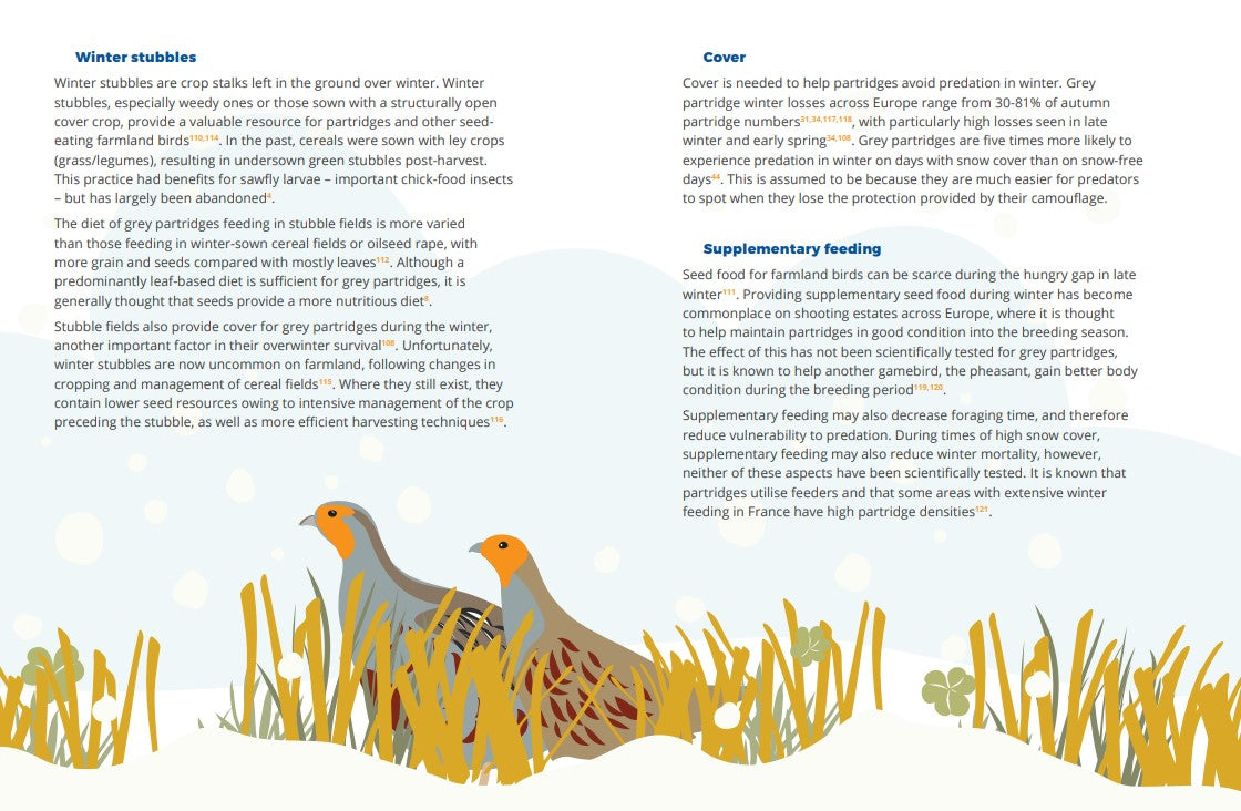 Farming with Nature: Promoting biodiversity across Europe through partridge conservation