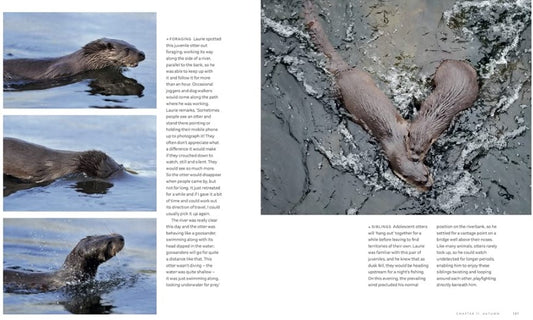 Ripples on the River by Laurie Campbell