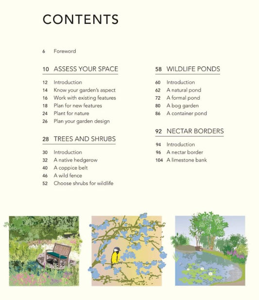 Wild Your Garden: Create a sanctuary for nature