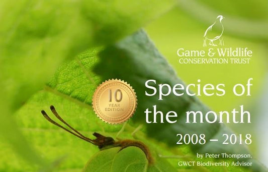 New eBook celebrates wildlife project’s 10th anniversary