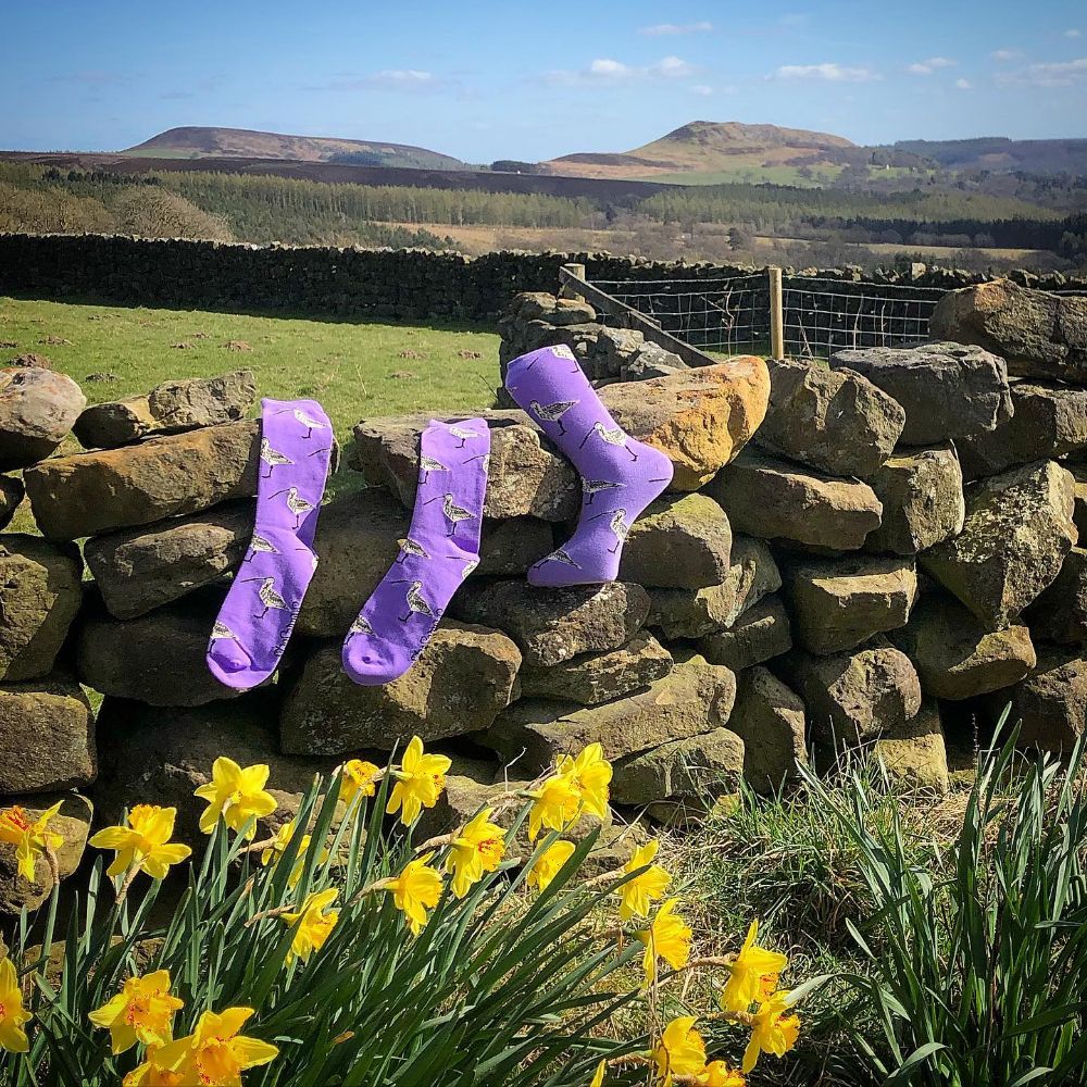 Purple Curlew Socks by Shuttle Socks