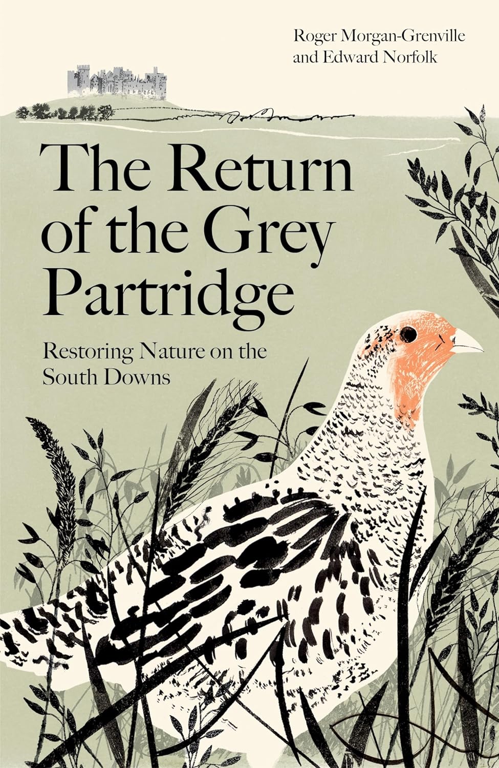 The Return of the Grey Partridge: Restoring Nature on the South Downs