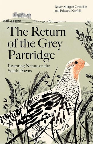 The Return of the Grey Partridge: Restoring Nature on the South Downs