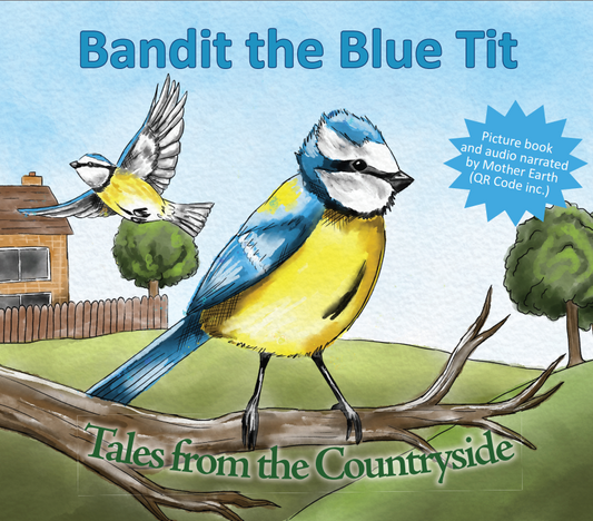 Bandit the Blue Tit