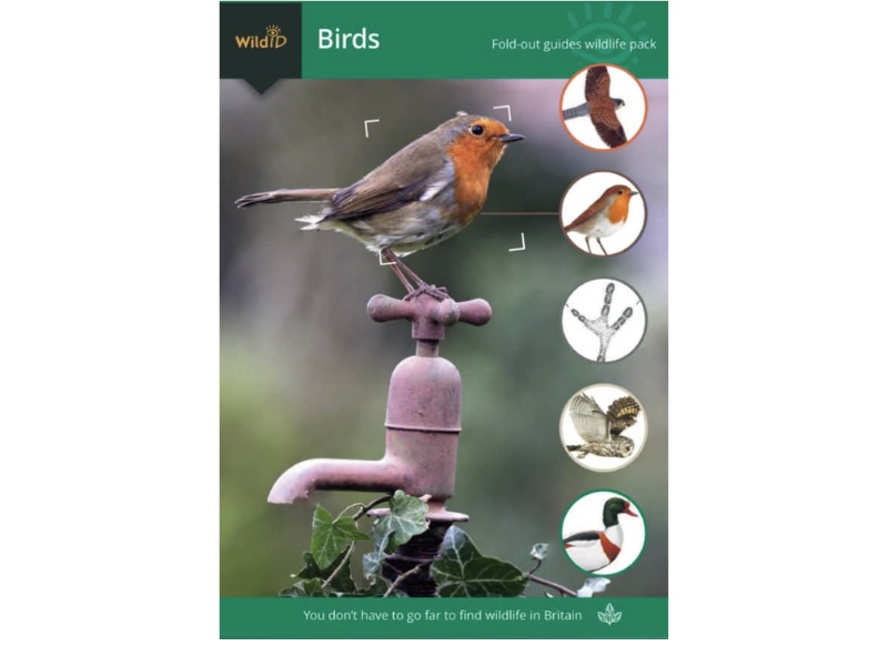 Wildlife Pack - Birds