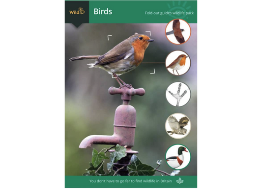 Wildlife Pack - Birds