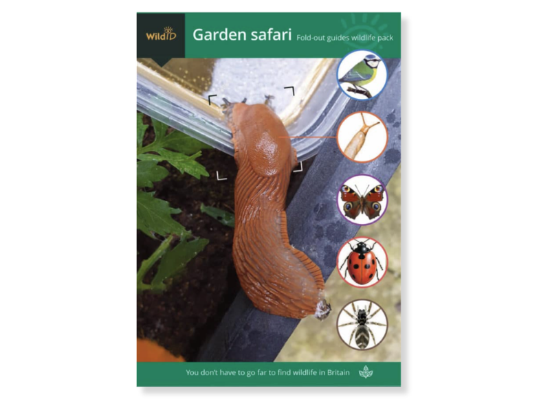 Wildlife Pack - Garden Safari