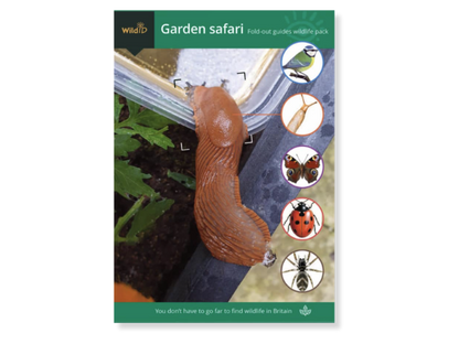 Wildlife Pack - Garden Safari