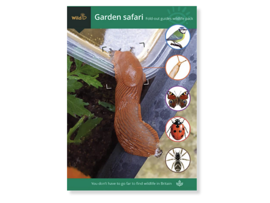 Wildlife Pack - Garden Safari