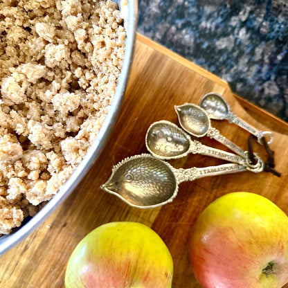 Set of 4 Hedgehog Measuring Spoons