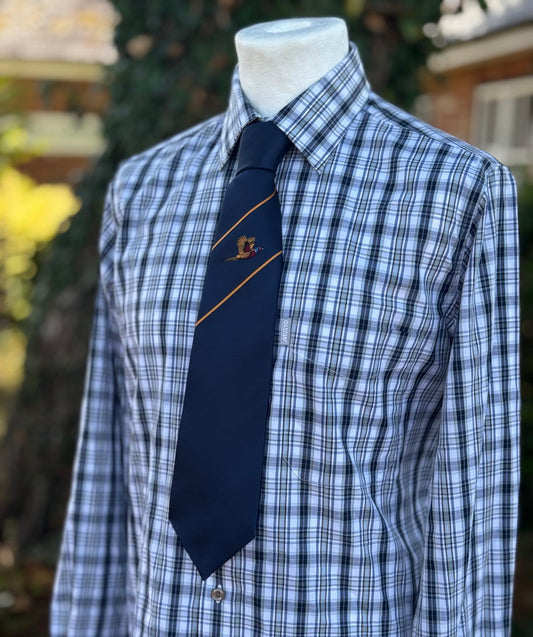 A men's long-sleeve plaid dress shirt in blue and white, styled on a white mannequin torso with a navy blue tie featuring diagonal gold stripes and a crest logo.