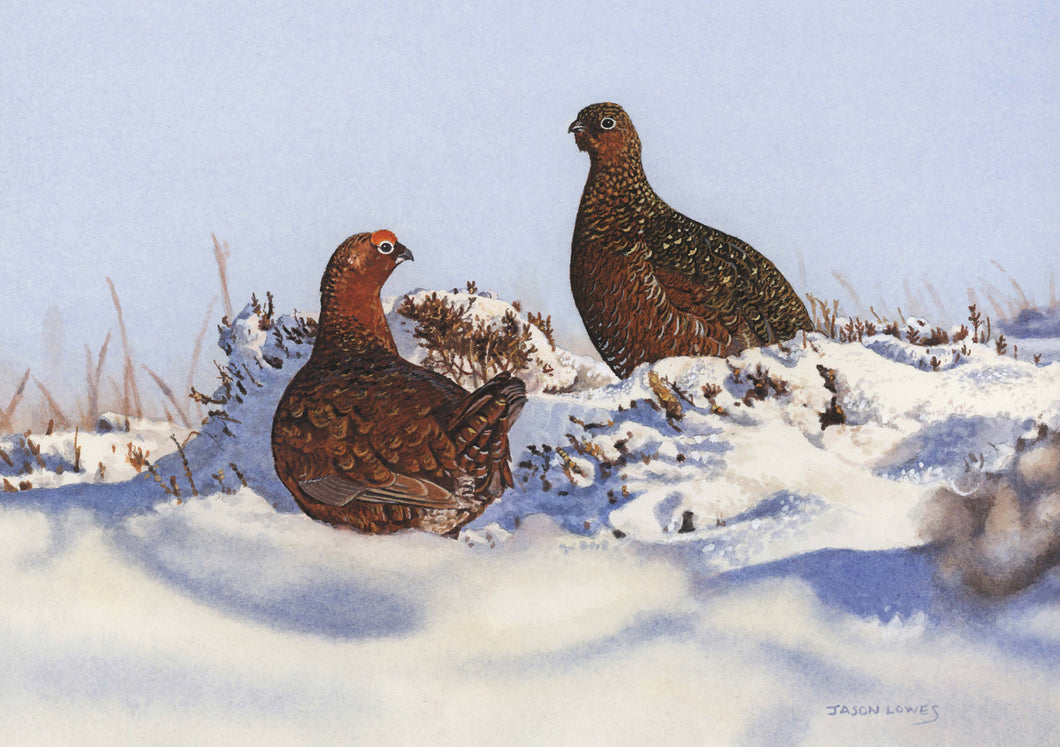 2023 A Pair of Winter Grouse by Jason Lowes - Pack of 10 GWCT Christmas Cards