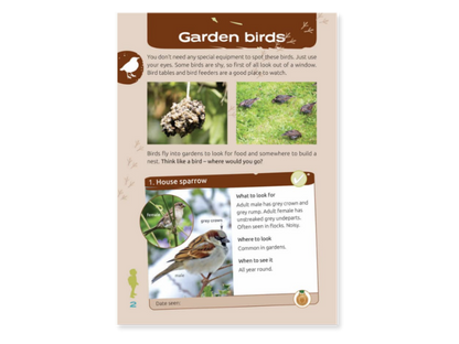 Nature Spotters in the Garden