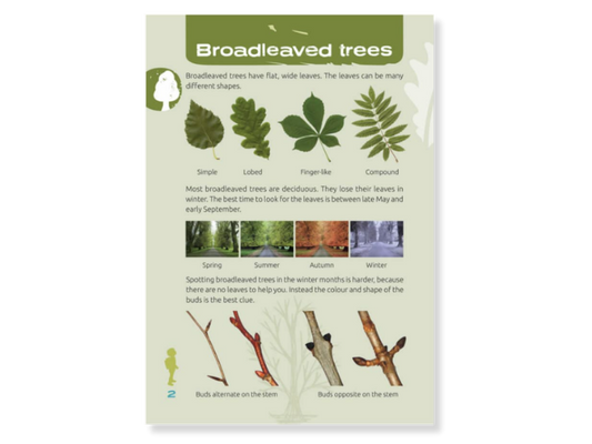 Nature spotters in the trees and woodlands