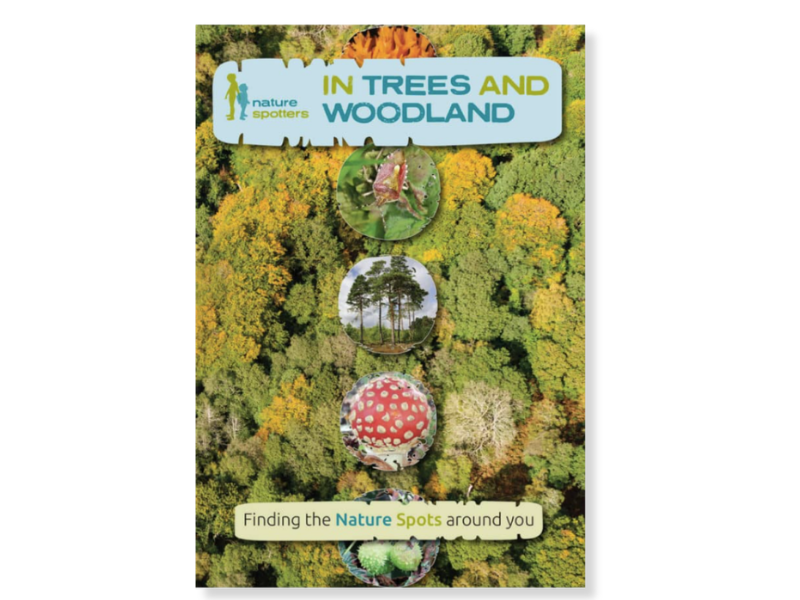 Nature spotters in the trees and woodlands