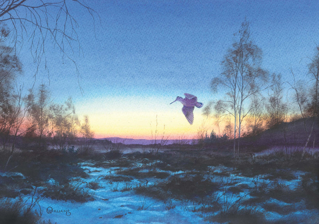2023 Woodcock at Dusk by Owen Williams - Pack of 10 GWCT Christmas Cards