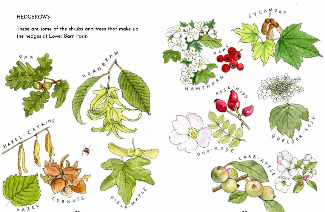 Rufus and Sarah's Farm Walk