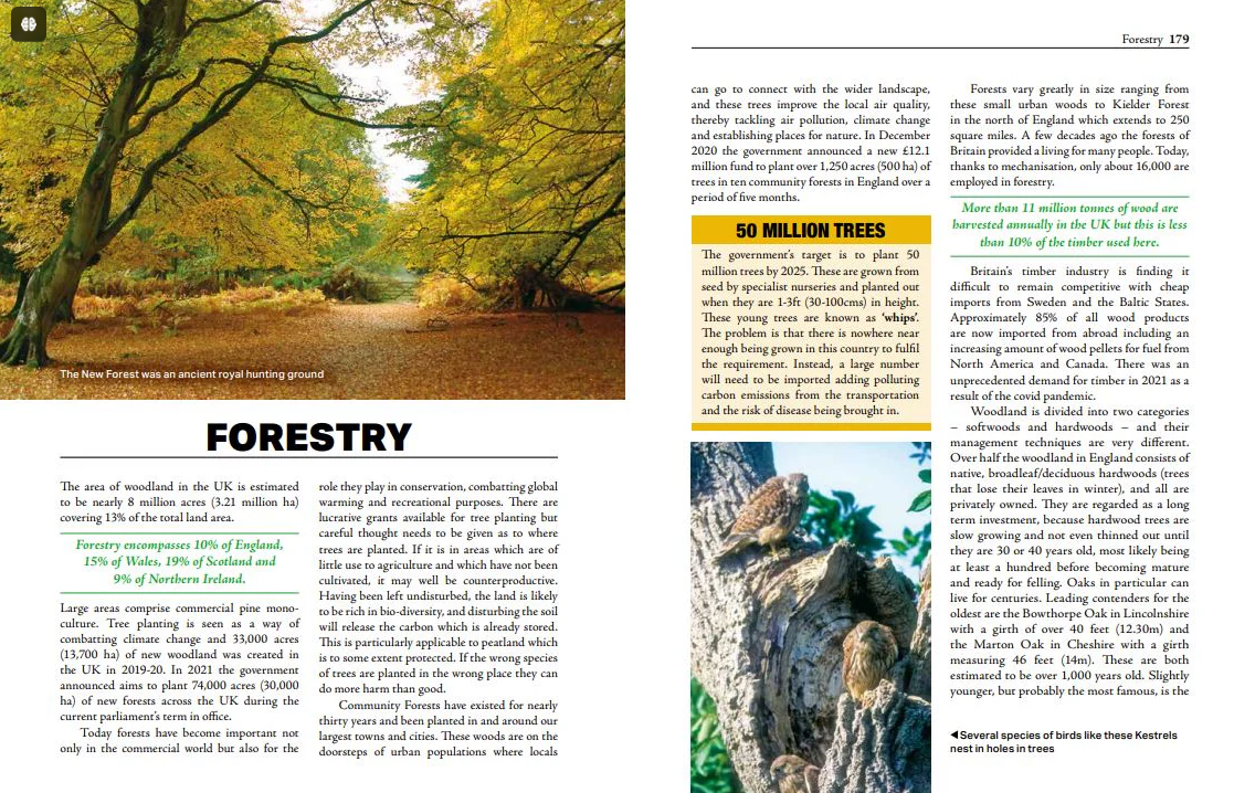 Everything you wanted to know about the Countryside by Jill Mason