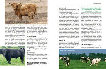 Everything you wanted to know about the Countryside by Jill Mason