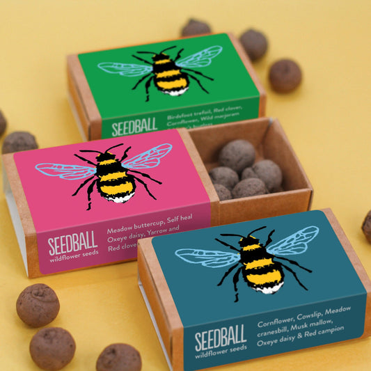 Bee Seed Boxes