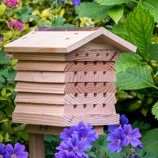 Solitary Bee Hive with Bee Tube Brush