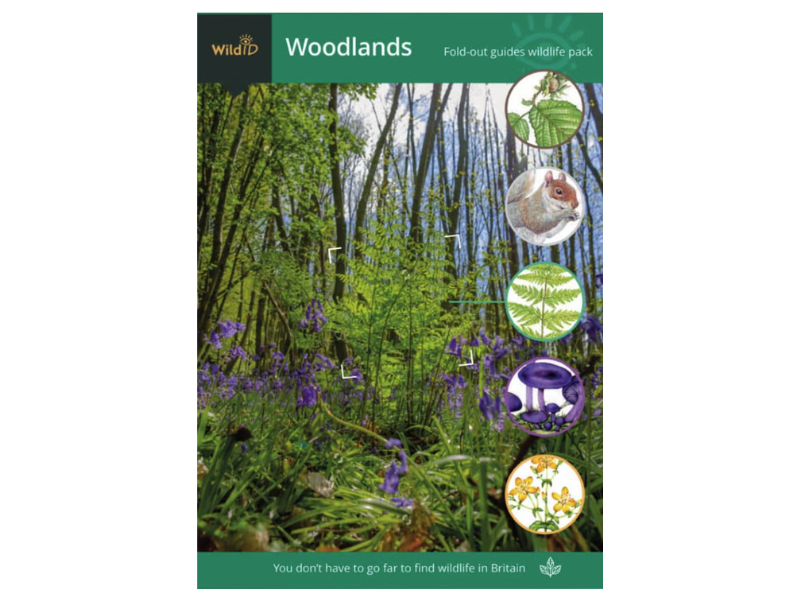 Wildlife Pack - Woodlands