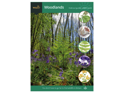 Wildlife Pack - Woodlands