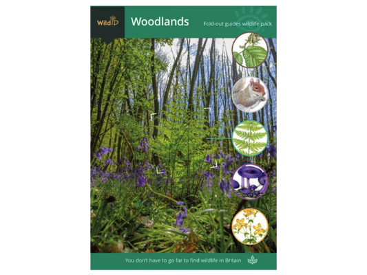 Wildlife Pack - Woodlands