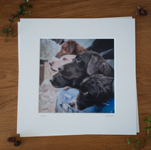 Load image into Gallery viewer, &#39;Waiting&#39; - Gundogs in back of Pickup, Photographic print by Rachel Foster
