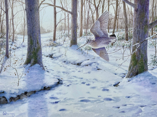Winter Wonderland Woodcock by Owen Williams - Pack of 10 GWCT Christmas Cards