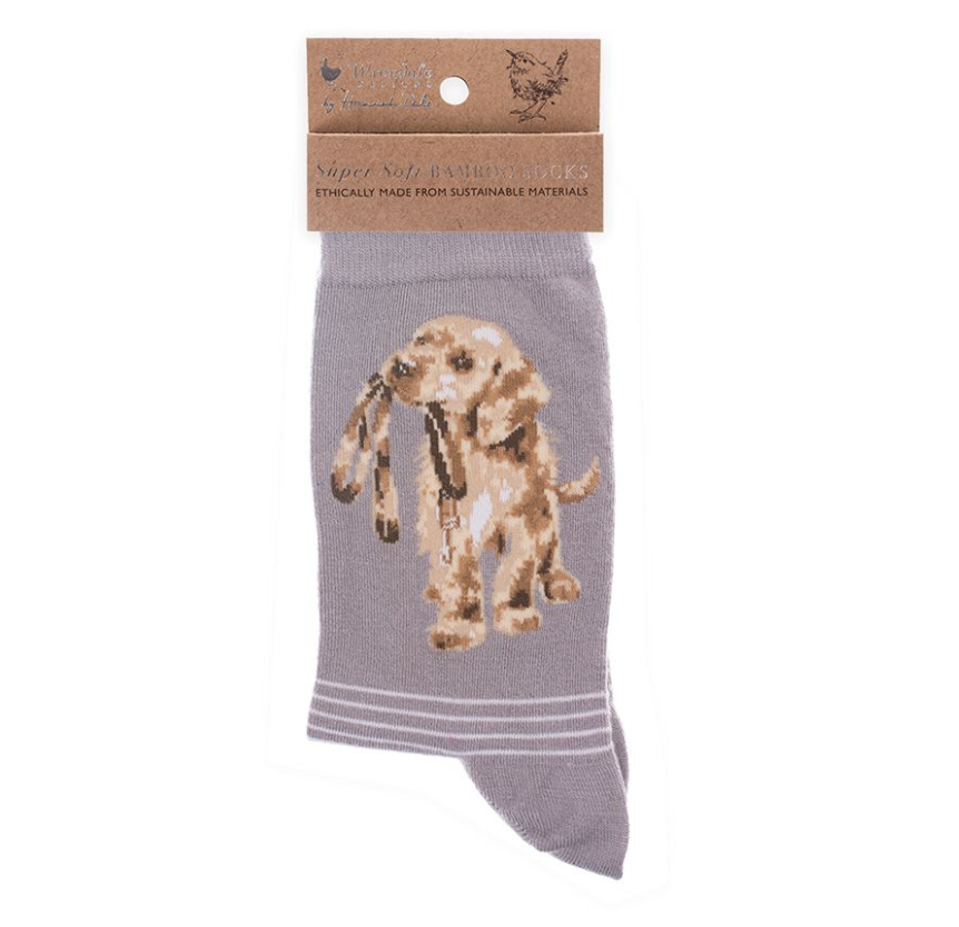 'Hopeful' Labrador Socks (Grey)
