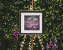 Load image into Gallery viewer, &#39;Above the Heather&#39; - Grouse Photographic Print by Rachel Foster